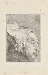Profil af en gammel mand, fra Raccolta di Teste (Samling af hoveder)