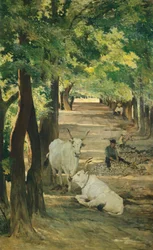Avenue med okser og stenbryder, af Giovanni Fattori (1825-1908)