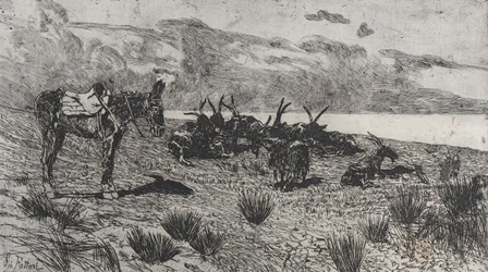 Æsel og geder på en strand om vinteren, 1884-1908.