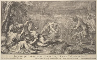 Høstmaskiner af korn, 1704.