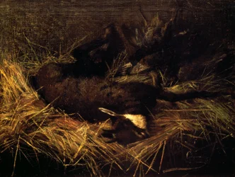 Død gemse