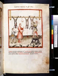 Theatrum sanitatis af Ububchasym de Baldach: "Carnes Caprarum et Pulpe Edorum", første årti af det 14. århundrede (miniature)