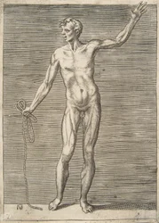 Mand set forfra, med et reb i højre hånd, 1500-tallet.