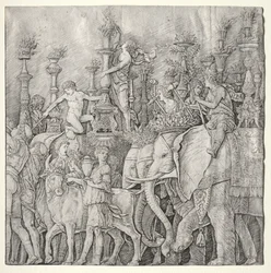 Cæsars triumfer: elefanterne, ca. 1485-1490.