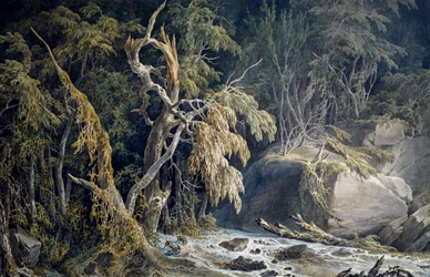 Klippelandskab med træer revet op med rode, af Giuseppe Pietro Bagetti (1764-1831).