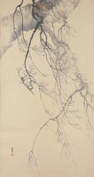Kirsebærblomster, 1700-tallet.