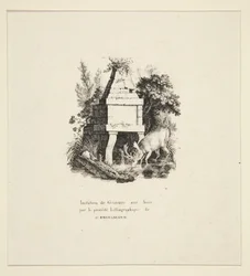 Hjorte drikker