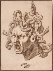 Leder af Medusa
