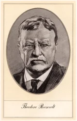 Theodore Roosevelt, USA
