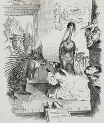 Hund og pindsvin, karikatur af Jean-Jacques Grandville (1803-1847), litografi af Giovanni Mariani fra Poliorama Pittoresco, n 38, 30. april