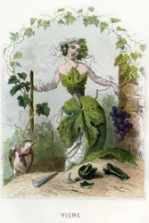 Illustration til 