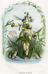 Illustration til 