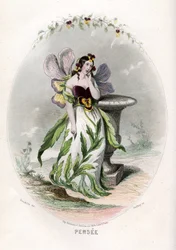 Illustration til 