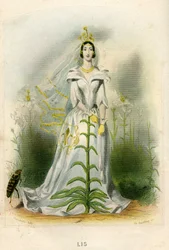 Illustration til 