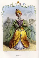 Illustration til 