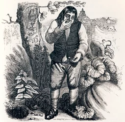 Agernet og græskarret (Le gland et la citrouille) - Fabler af La Fontaine