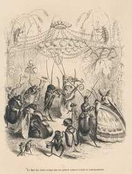 Koncert af insekter ved et bal. Miniaturer illustreret af JJ Granville. Indgravering signeret Godard i delen med titlen "En sommerfugls eventyr" skrevet af PJ Stahl i "Scener fra dyrenes private og offentlige liv". Paris, J. Hetzel og Paulin