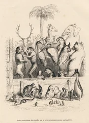 Samtale mellem dyr. Miniaturer illustreret af JJ Granville. Indgravering signeret Breviere i prologen med titlen "Parlamentary Summary" skrevet af PJ Stahl i "Scener fra dyrenes private og offentlige liv". Paris, J. Hetzel og Paulin