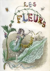 Forsiden af bogen "Les Fleurs animees", illustreret af Grandville, koloreret kobberstik med stencil. Gonet-udgave 1857