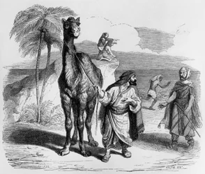 La Fontaines fabel (af Jean de La Fontaine): Kamelen og de svævende pinde, stik af J.J. Grandville, ca. 1838-40