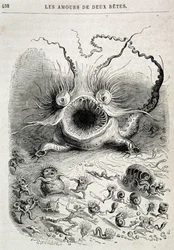 Les amours de deux beêtes (freaking monster) - i "" Dyr malet af dem selv: dyrenes private og offentlige liv"" af Grandville, kapitel af Honoré de Balzac, red. Hetzel