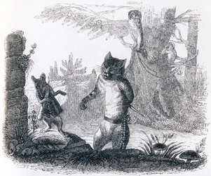 Katten og rotten - Fabler af La Fontaine