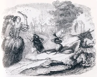 Fluen og myren (La mouche et la fourmi) - Fabler af La Fontaine
