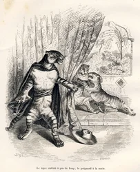 Tiger på vej ind på scenen med dolk i hånden. Vignetter illustreret af JJ Granville. Indgravering signeret Godard i delen med titlen "Den første pistolserie" skrevet af Jules Janin i "Scener af dyrenes private og offentlige liv". Paris, J.H