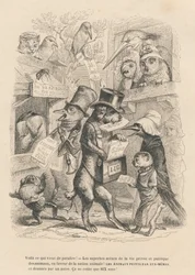 Her er hvad det lige er dukket op. Kat og fugl sælger denne bog for seks øre. Vignetter illustreret af JJ Granville. Gravering signeret Andrew, Best og Leloir i prologen med titlen "Parlamentary summary" skrevet af PJ Stahl i "Scenes of life"