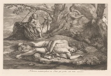 Narcissus i ekko Narcissus forvandlet til en blomst, der bærer hans navn (titel på objekt)