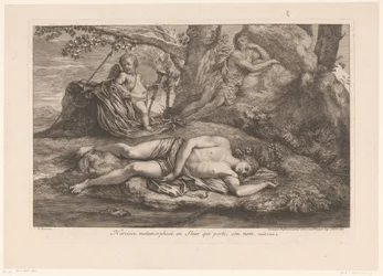 Narcissus i ekko Narcissus forvandlet til en blomst, der bærer hans navn (titel på objekt)