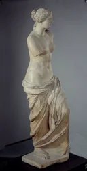 Unknown image dani