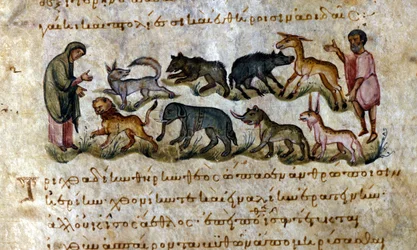 Vildt: dyrene du kan jage - i “” De Venation””” e af Oppianus, græsk manuskript fra det 13. århundrede.