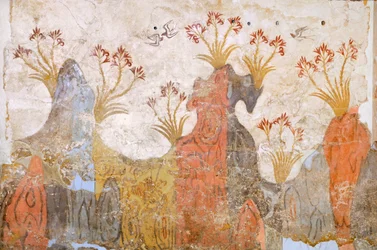 Liljerum eller forår, Akrotiri fresco, Thera (i dag Santorini), Grækenland, minoisk civilisation