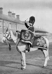 Plum Duff, trommehesten fra Royal Scots Greys, 1896