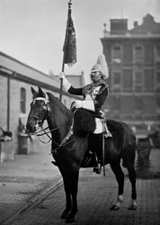 Squadron Corporal Major af 1. Livgarde med standard, 1896.