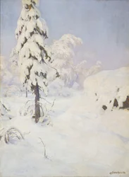 Vinter i skoven