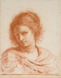 Leder af en ung kvinde, 1550-1666