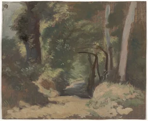 Forest Road