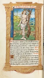 Trykt tidebog (brug af Rom): fol. 102v, Skt. Sebastian
