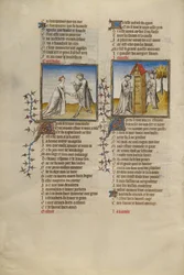 Rosens romantik