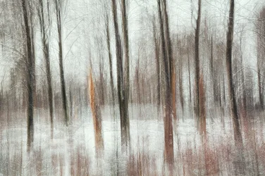 Abstrakt vinterskov