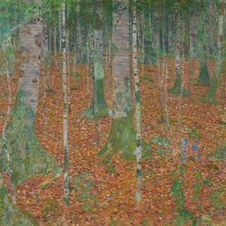 Birkeskoven