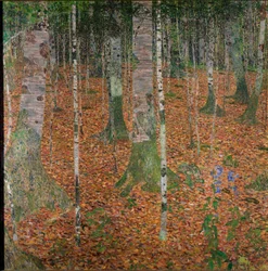 Birkeskov