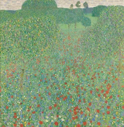 Blomstrende valmuer