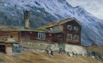Bjergfarm i snelandskab