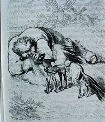 Illustration til 