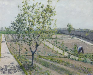 Køkkenhave, Petit Gennevilliers - Gustave Caillebotte (1848-1894). olie på lærred
