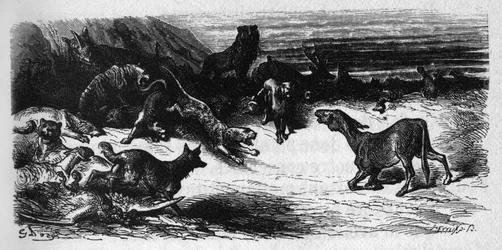 Dyr, der er syge af pesten. Fabler af Jean de La Fontaine (1621-95). Illustration af Gustave Dore.