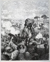 Don Quixote angriber en fåreflok i den tro, at han har med Alibanfaron af Taprobanas hær at gøre - fra «Don Quixote de la Mancha» af Miguel de Cervantes (1547-1616) (Don Quixote) - træsnit efter en tegning af Gustave Doré